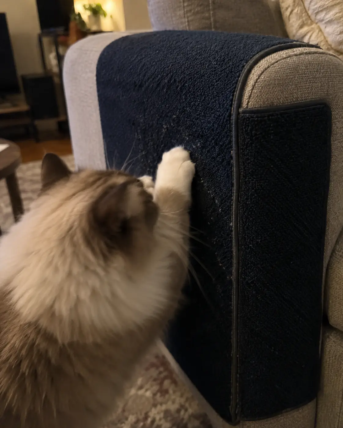ClawKeep mat in a customer's home — review from Sofia, Brighton