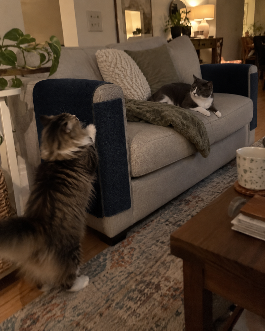 ClawKeep mat in a customer's home — review from Elin, Cardiff