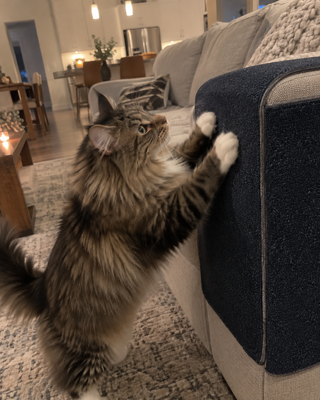 ClawKeep mat in a customer's home — review from Marcus, Glasgow